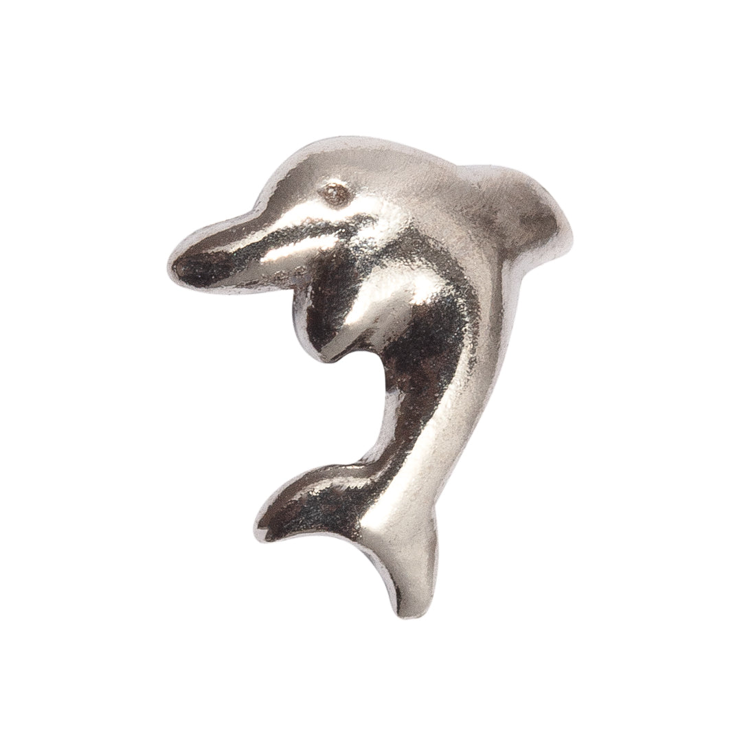 Dolphin Tooth Gem
